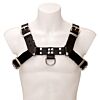 Mister B Saddle Leather Chest Harness