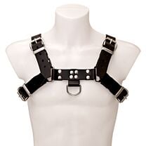Saddle Leather Chest Harness 1