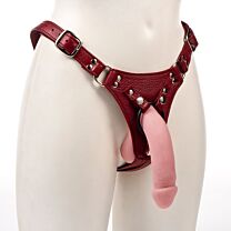 Aslan Leather Cherry Jag Strap On Harness 1