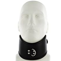 Padded Leather Posture Collar 1