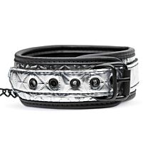 Master Series Platinum Bound Chained Collar with Leash 1