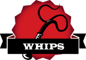 Beginner's Guide To Whips