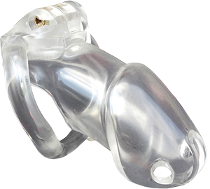 Holy Trainer Chastity Device